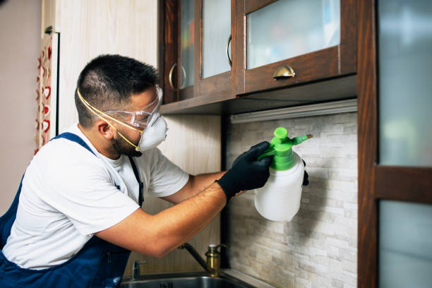  Palouse, WA Pest Control Pros