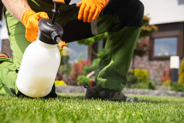 Best Flea Control Services  in Palouse, WA