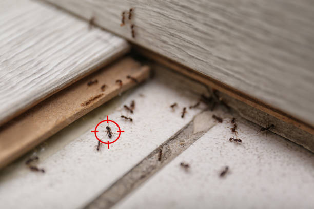 Best Commercial Pest Control Services  in Palouse, WA