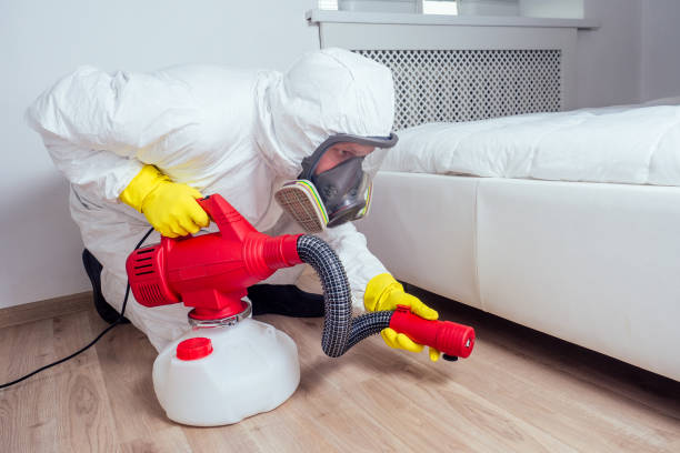 Best Wasp Removal Services  in Palouse, WA