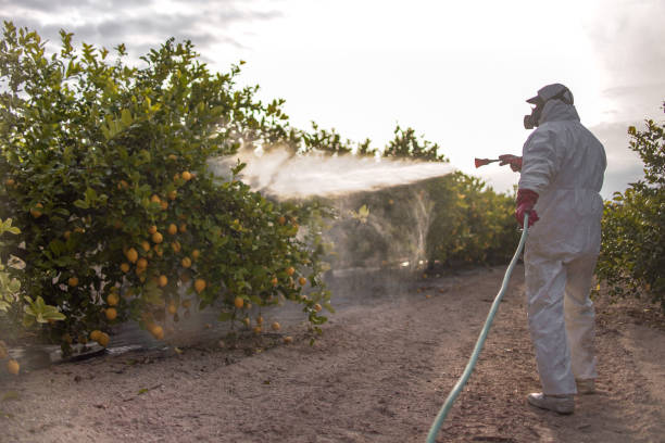 Best Pest Control Near Me  in Palouse, WA