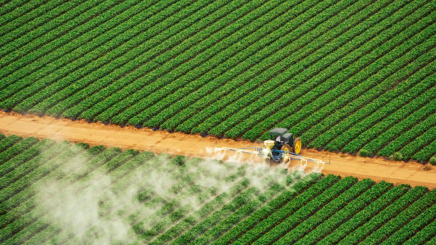 Trusted Palouse, WA Pest Control Experts