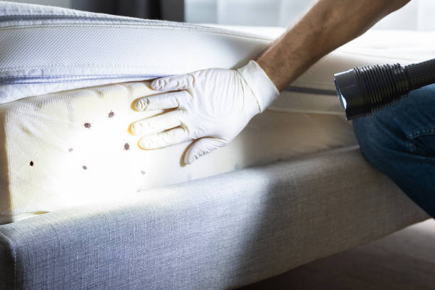 Trusted Palouse, WA Pest Control Experts