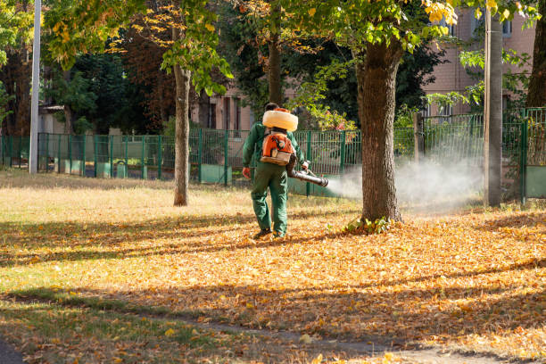 Best Mosquito Control Services  in Palouse, WA