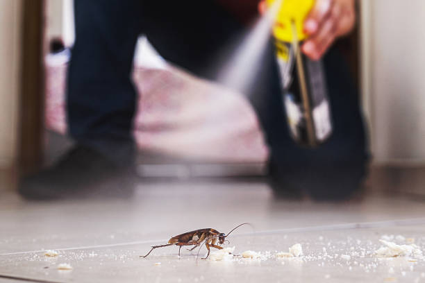 Best Affordable Pest Control Services  in Palouse, WA