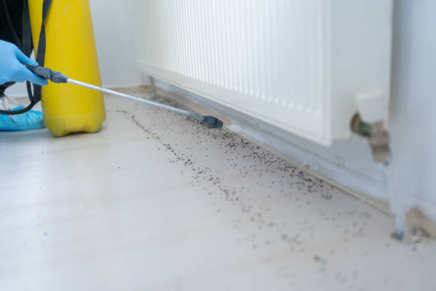 Best Mosquito Control Services  in Palouse, WA