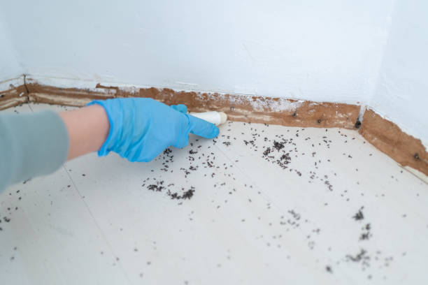 Best Best Pest Control Companies  in Palouse, WA