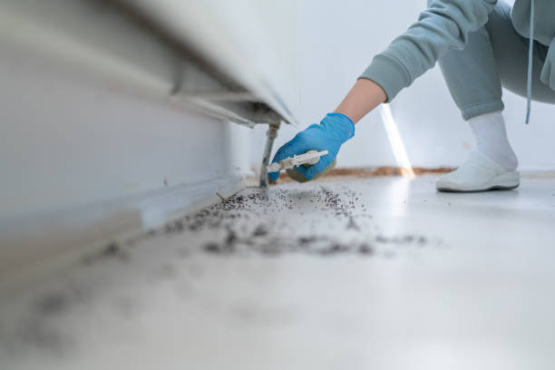 Flea Control Services in Palouse, WA