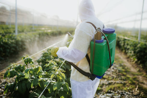 Best Exterminator Services  in Palouse, WA